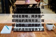 巧妙运用两个域名，双管齐下推广两个网站，双域名策略，同步推广双网站的高效方法，双域名策略，同步推广双网站的高效双管齐下法
