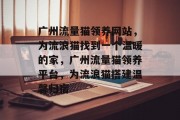 广州流量猫领养网站，为流浪猫找到一个温暖的家，广州流量猫领养平台，为流浪猫搭建温馨归宿