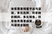 体育赛事观看平台与渠道，多元选择，尽享精彩瞬间，多元视角，尽享体育赛事盛宴，平台与渠道全解析