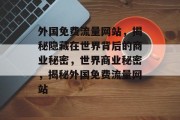 外国免费流量网站，揭秘隐藏在世界背后的商业秘密，世界商业秘密，揭秘外国免费流量网站