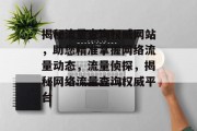 揭秘流量查询权威网站，助您精准掌握网络流量动态，流量侦探，揭秘网络流量查询权威平台