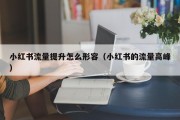 小红书流量提升怎么形容（小红书的流量高峰）