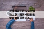 波罗的海干散货运价指数上涨，因海岬型和巴拿马型船运费走高