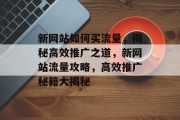 新网站如何买流量，揭秘高效推广之道，新网站流量攻略，高效推广秘籍大揭秘
