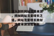 深入剖析网站流量来源，揭秘网站流量增长之道，网站流量增长奥秘，流量来源深度解析
