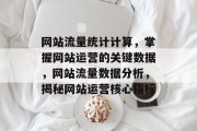 网站流量统计计算，掌握网站运营的关键数据，网站流量数据分析，揭秘网站运营核心指标
