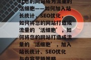 让您的网站成为流量的活细胞——如何加入站长统计，SEO优化，如何将您的网站打造成流量的‘活细胞’，如何将您的网站打造成流量的‘活细胞’，加入站长统计、SEO优化与内容营销策略