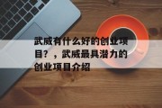 武威有什么好的创业项目？，武威最具潜力的创业项目介绍