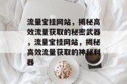 流量宝挂网站，揭秘高效流量获取的秘密武器，流量宝挂网站，揭秘高效流量获取的神秘利器
