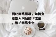 揭秘网络黑幕，如何查看别人网站的IP流量，维护网络安全