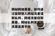 揭秘网络黑幕，如何通过偷取他人网站流量谋取私利，网络流量窃取黑幕，揭秘私利背后的流量盗用手段