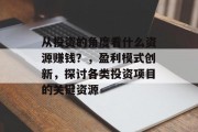 从投资的角度看什么资源赚钱？，盈利模式创新，探讨各类投资项目的关键资源