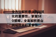 全方位解析唐山网站优化的重要性，掌握SEO策略，全面解析唐山网站优化的重要性