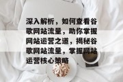 深入解析，如何查看谷歌网站流量，助你掌握网站运营之道，揭秘谷歌网站流量，掌握网站运营核心策略
