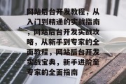 网站后台开发教程，从入门到精通的实战指南，网站后台开发实战攻略，从新手到专家的全面教程，网站后台开发实战宝典，新手进阶至专家的全面指南