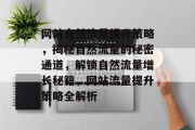网站自然流量提升策略，揭秘自然流量的秘密通道，解锁自然流量增长秘籍，网站流量提升策略全解析
