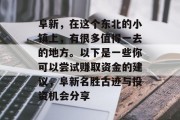 阜新，在这个东北的小镇上，有很多值得一去的地方。以下是一些你可以尝试赚取资金的建议，阜新名胜古迹与投资机会分享