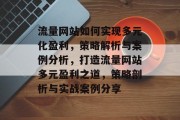流量网站如何实现多元化盈利，策略解析与案例分析，打造流量网站多元盈利之道，策略剖析与实战案例分享
