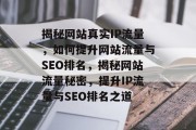 揭秘网站真实IP流量，如何提升网站流量与SEO排名，揭秘网站流量秘密，提升IP流量与SEO排名之道