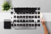 个人网站流量卡全面解析，轻松提升网站流量，开启网络营销新篇章，网站流量卡攻略，解锁高效网络营销新策略