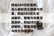 网站SEO分析案例，深入解析优化策略与效果，网站SEO优化实战解析，策略与效果深度剖析，网站SEO实战解析，策略深度剖析与优化效果揭秘