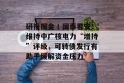 研报掘金丨国泰君安：维持中广核电力“增持”评级，可转债发行有助于缓解资金压力