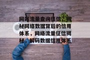网站流量查询征信，揭秘网络数据背后的信用体系，网络流量征信揭秘，解码数据信用体系