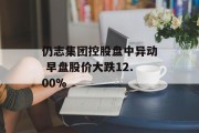 仍志集团控股盘中异动 早盘股价大跌12.00%