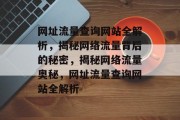 网址流量查询网站全解析，揭秘网络流量背后的秘密，揭秘网络流量奥秘，网址流量查询网站全解析