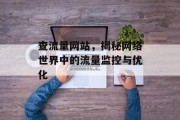 查流量网站，揭秘网络世界中的流量监控与优化