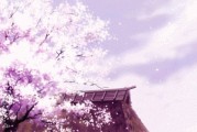 怎么把动图设置成壁纸(怎么把动图设置成壁纸oppo)