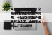 从网站开发到运营，全链路的网站付费插件实现，一站式付费插件使用解决方案，全面覆盖网站开发与运营