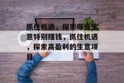 抓住机遇，探索哪些生意特别赚钱，抓住机遇，探索高盈利的生意项目