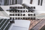 揭秘网络困境，为何有的流量无法进入网站？网络流量之谜，探析流量无法进入网站的背后原因