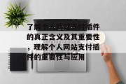 了解个人网站支付插件的真正含义及其重要性，理解个人网站支付插件的重要性与应用