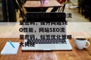 网站标签优化，解锁流量密码，提升网站SEO性能，网站SEO流量密码，标签优化策略大揭秘