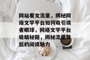 网站看文流量，揭秘网络文学平台如何吸引读者眼球，网络文学平台吸睛秘籍，揭秘流量背后的阅读魅力