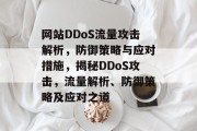 网站DDoS流量攻击解析，防御策略与应对措施，揭秘DDoS攻击，流量解析、防御策略及应对之道