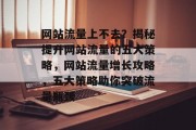网站流量上不去？揭秘提升网站流量的五大策略，网站流量增长攻略，五大策略助你突破流量瓶颈