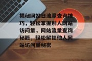 揭秘网站日流量查询技巧，轻松掌握别人网站访问量，网站流量查询秘籍，轻松解锁他人网站访问量秘密