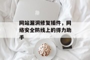 网站漏洞修复插件，网络安全防线上的得力助手