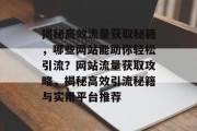 揭秘高效流量获取秘籍，哪些网站能助你轻松引流？网站流量获取攻略，揭秘高效引流秘籍与实用平台推荐