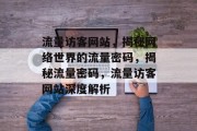 流量访客网站，揭秘网络世界的流量密码，揭秘流量密码，流量访客网站深度解析