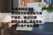 IIS限制网站流量，有效提升网站性能与用户体验，通过IIS限制网站流量，优化性能与提升用户体验策略