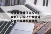 绥化有哪些值得投资的项目？，绥化十大值得投资的商业机会推荐