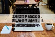 揭秘网站流量IP 2000，如何实现网站流量倍增的秘密武器，网站流量倍增秘籍，揭秘2000IP流量奥秘