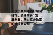 长沙宁乡的赚钱好项目推荐，长沙宁乡: 发展创业、助力家乡致富的好项目介绍
