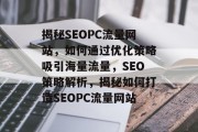 揭秘SEOPC流量网站，如何通过优化策略吸引海量流量，SEO策略解析，揭秘如何打造SEOPC流量网站