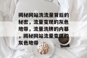 揭秘网站洗流量背后的秘密，流量变现的灰色地带，流量洗牌的内幕，揭秘网站流量变现的灰色地带