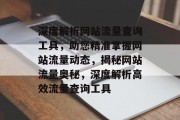 深度解析网站流量查询工具，助您精准掌握网站流量动态，揭秘网站流量奥秘，深度解析高效流量查询工具